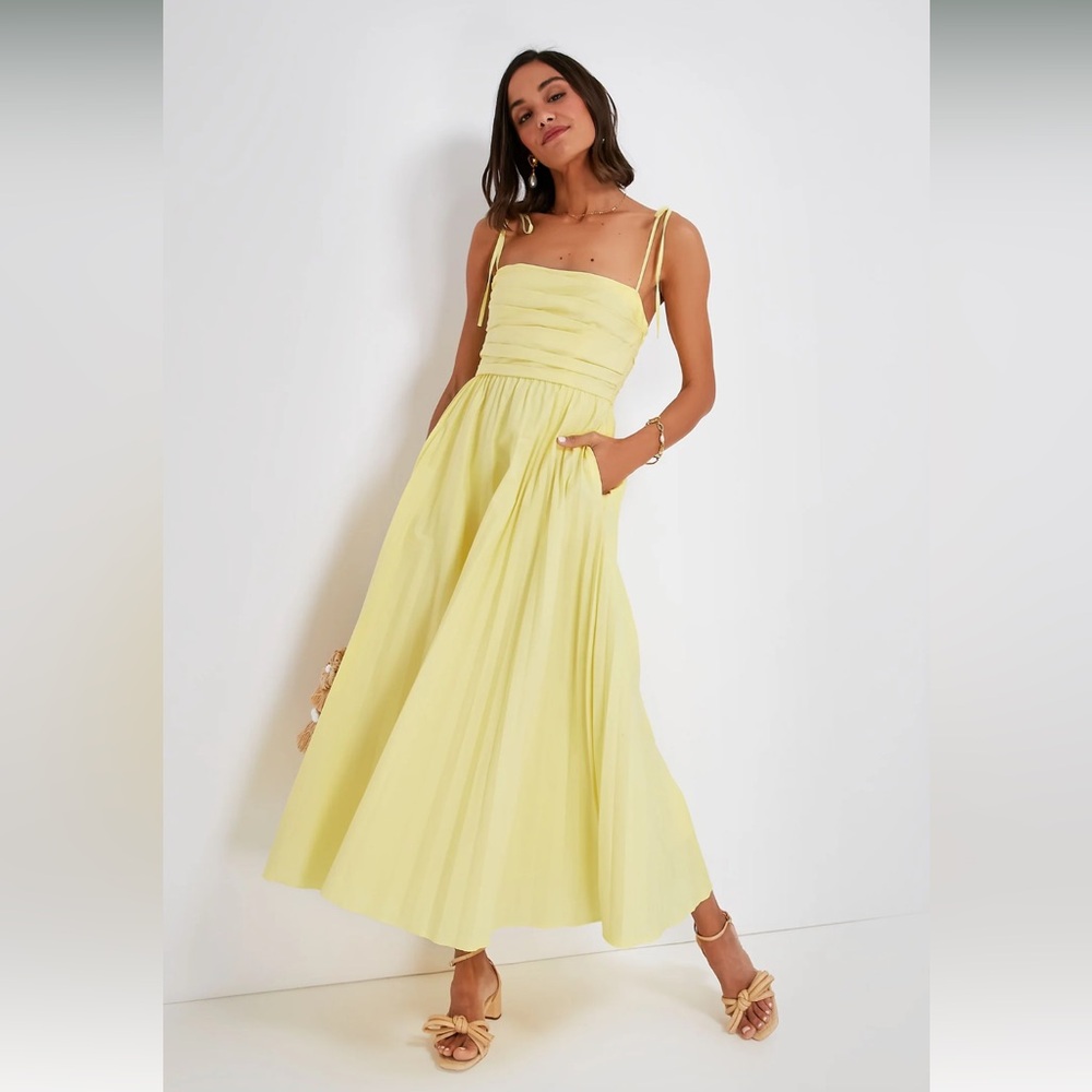 Simkhai Caroline pleated cotton-poplin maxi dress